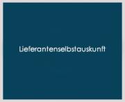 Lieferantenselbstauskunft