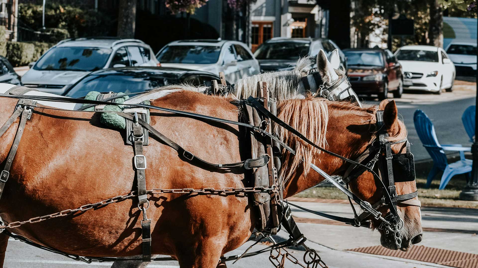 Horse and Carrirage - MAT Foundry