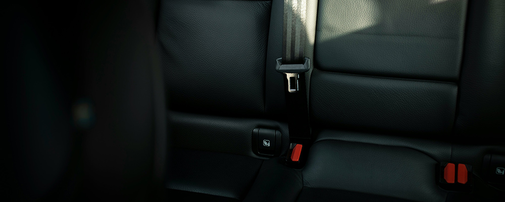 seatbelt-listing-large