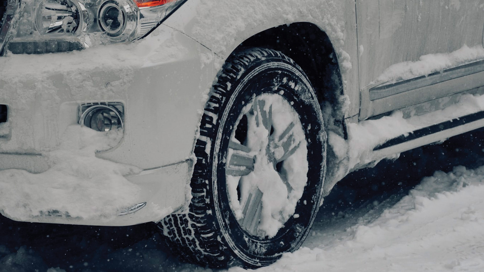 Winter Tyre - MAT Foundry