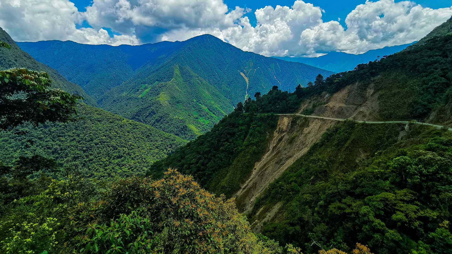 Yungas Road - MAT Foundry